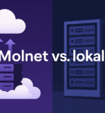 moln-vs-lokalt